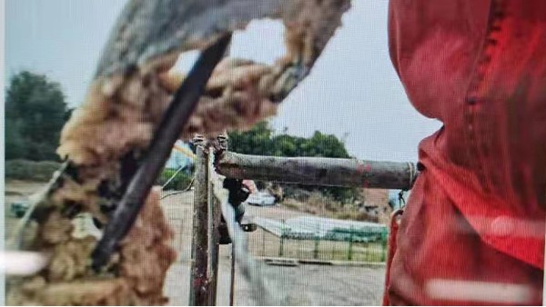 降凝劑現(xiàn)場(chǎng)圖